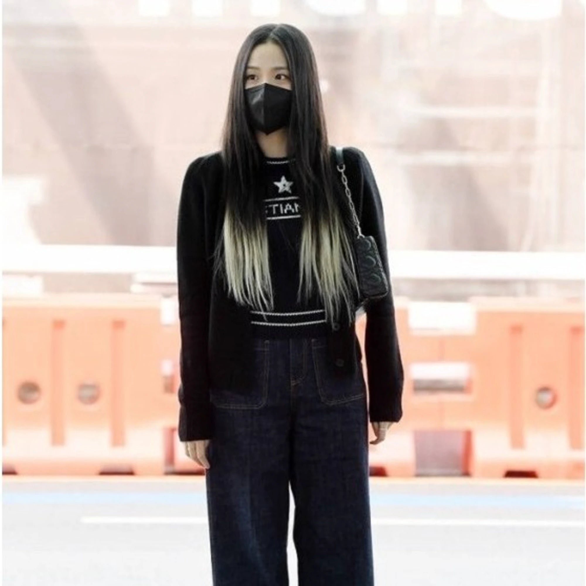 디올 스타 로고 반팔 스웨터 착용 이미지