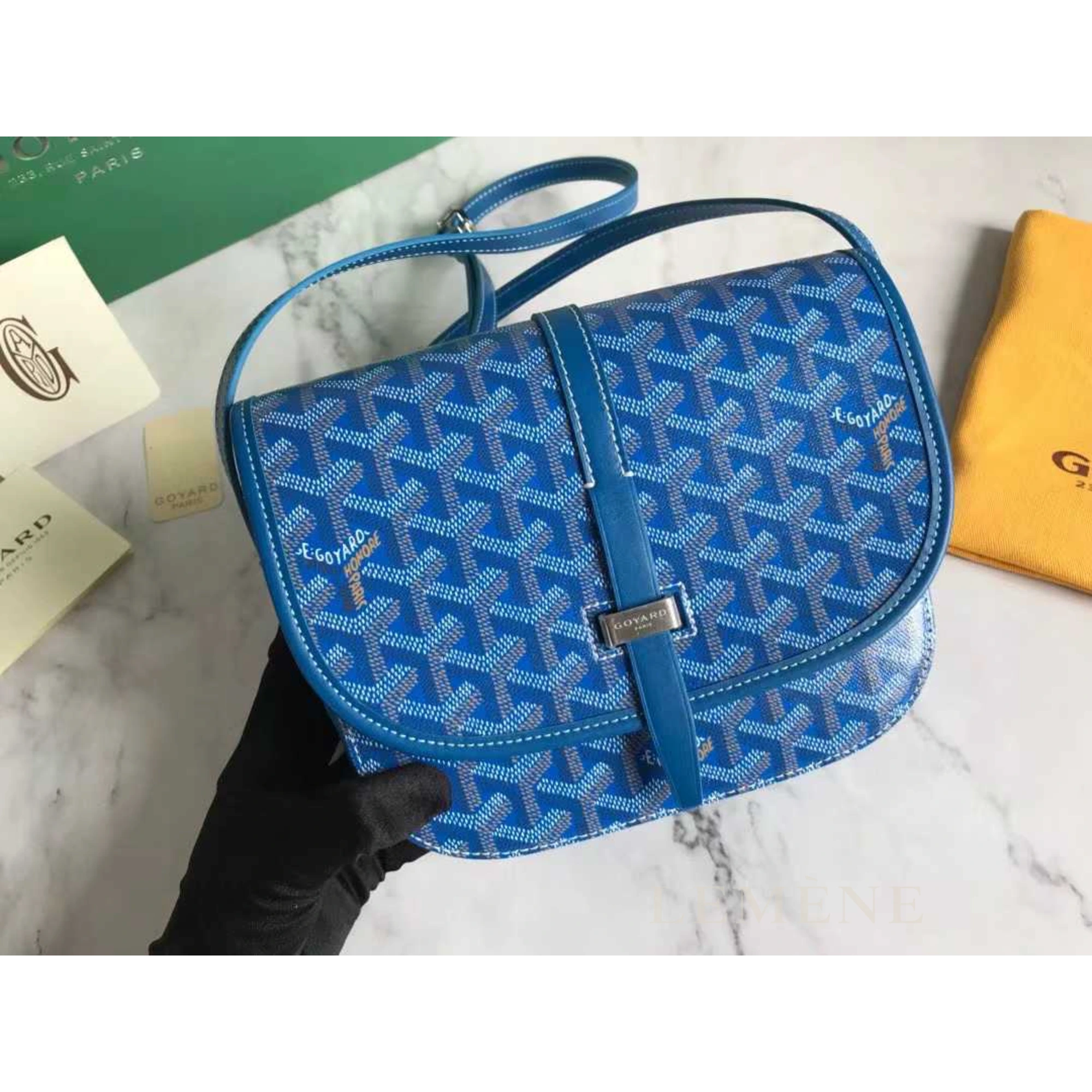 고야드 벨베데르 PM 백 디테일 이미지
